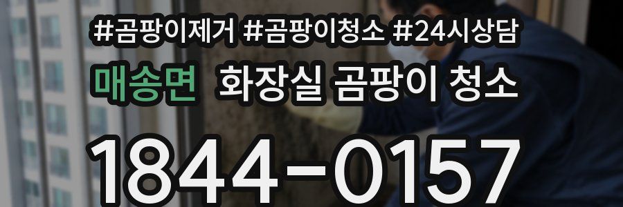 매송면 화장실 곰팡이 청소
