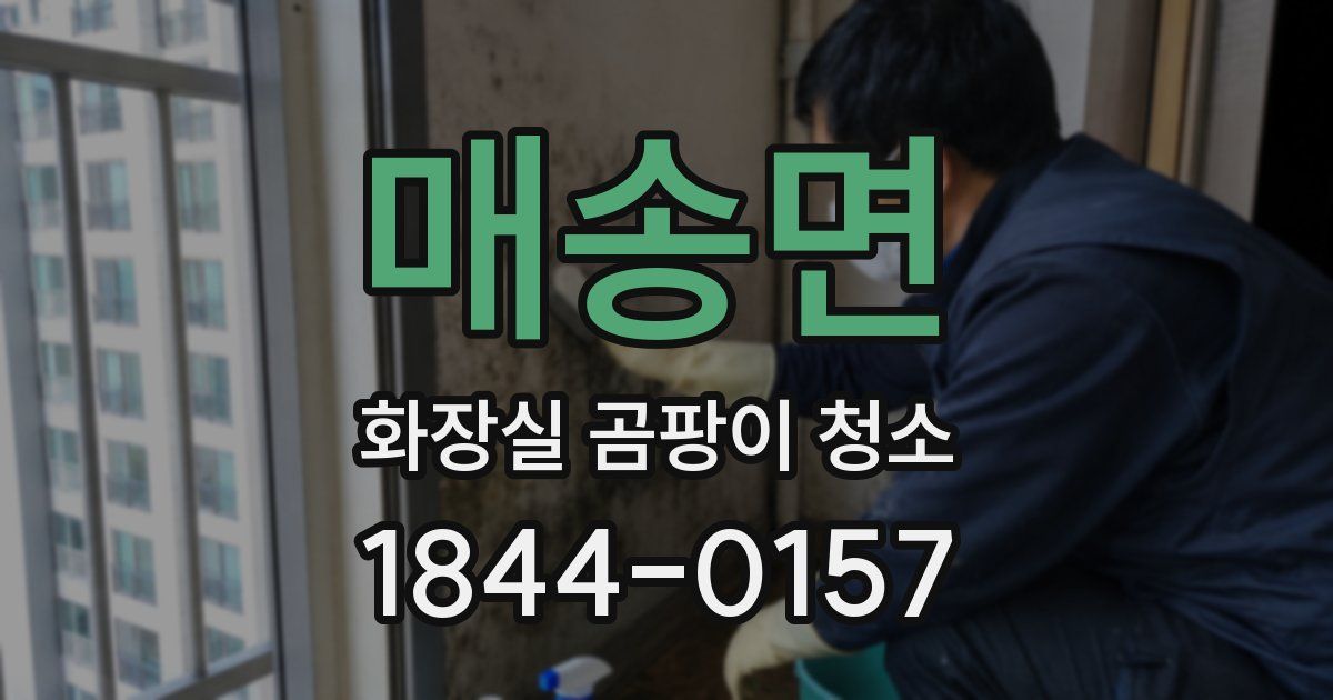 매송면 화장실 곰팡이 청소