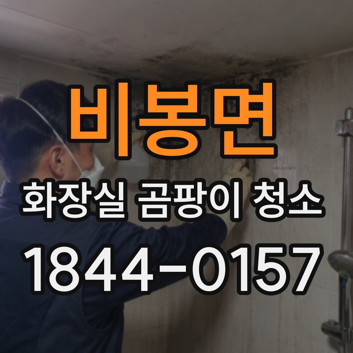 비봉면 화장실 곰팡이 청소