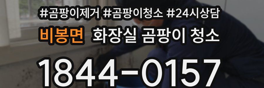 비봉면 화장실 곰팡이 청소