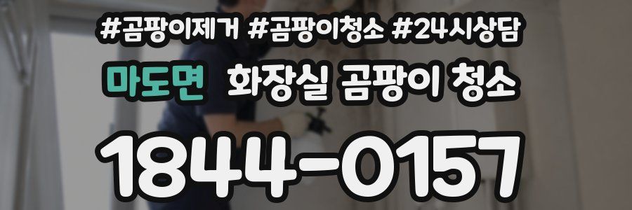 마도면 화장실 곰팡이 청소