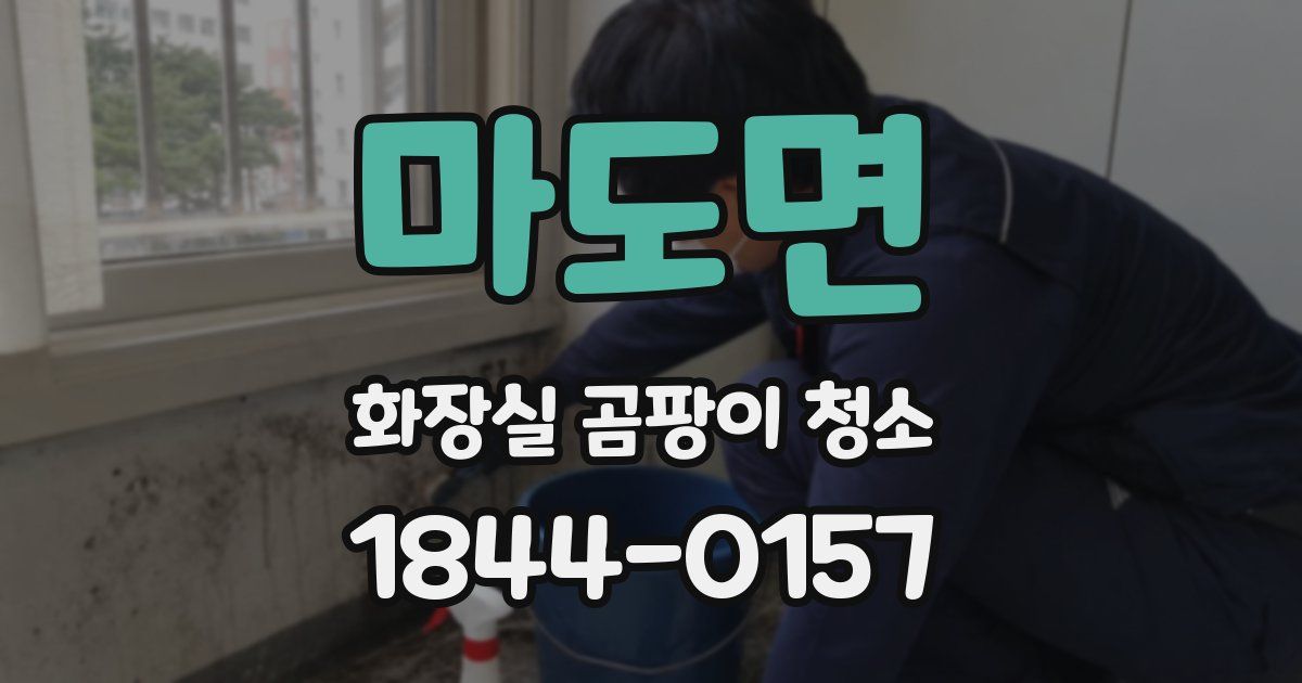 마도면 화장실 곰팡이 청소
