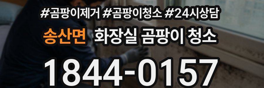 송산면 화장실 곰팡이 청소