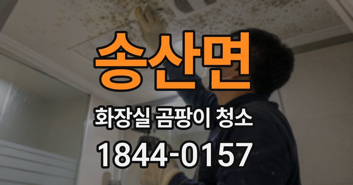 송산면 화장실 곰팡이 청소