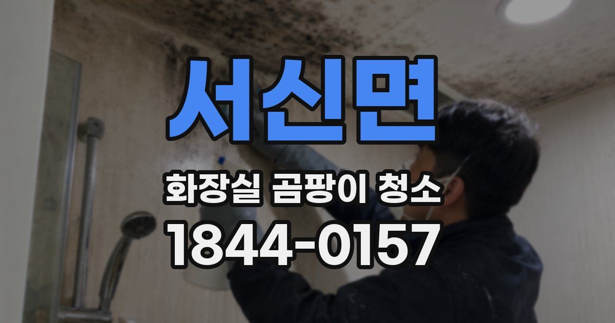서신면 화장실 곰팡이 청소