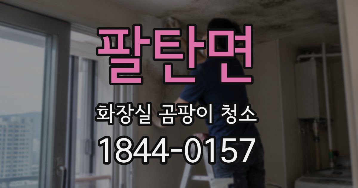 팔탄면 화장실 곰팡이 청소