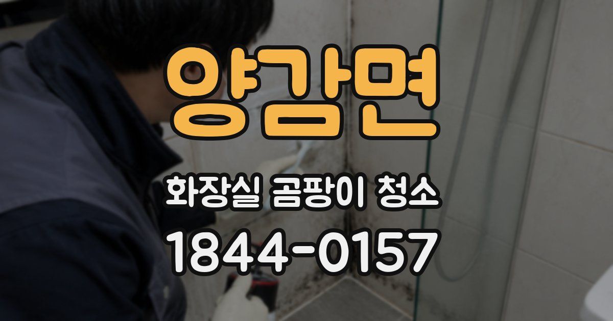 양감면 화장실 곰팡이 청소