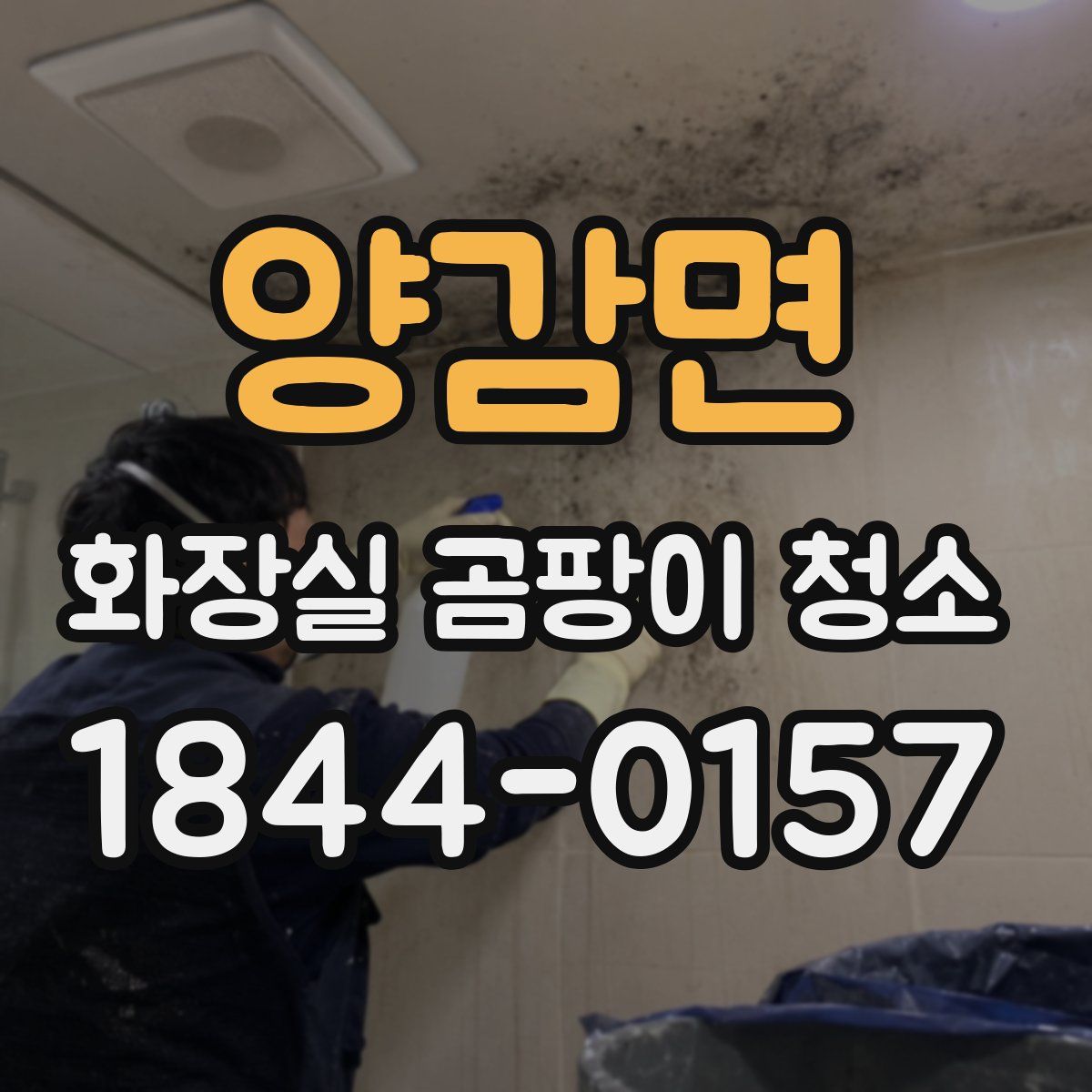 양감면 화장실 곰팡이 청소