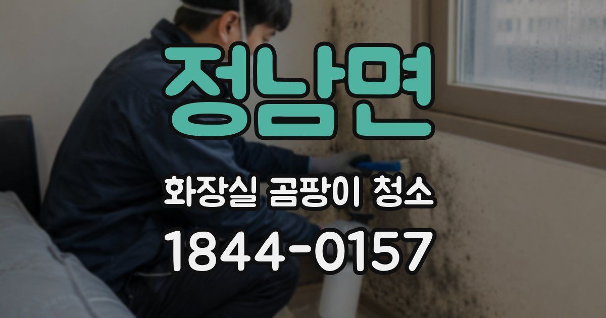 정남면 화장실 곰팡이 청소