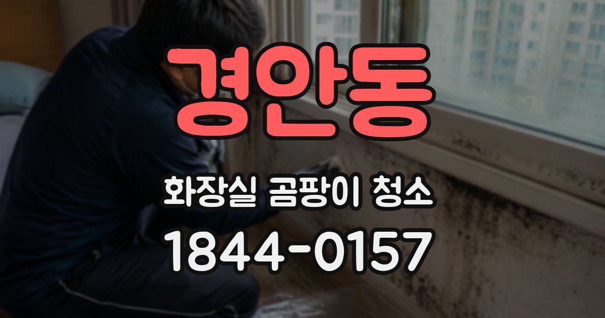경안동 화장실 곰팡이 청소