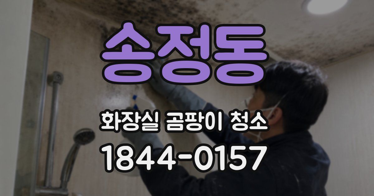 송정동 화장실 곰팡이 청소