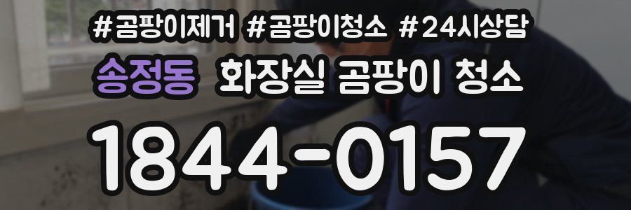 송정동 화장실 곰팡이 청소