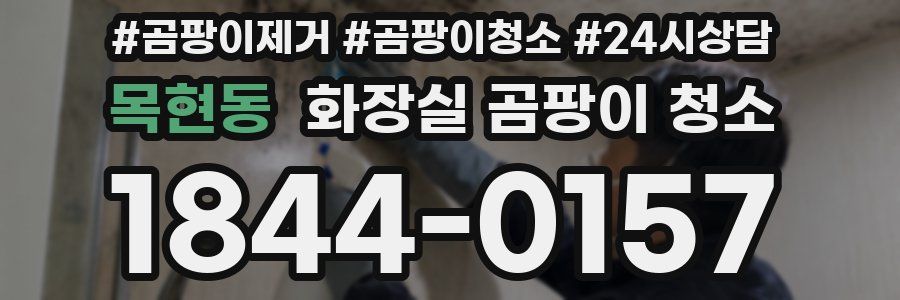목현동 화장실 곰팡이 청소