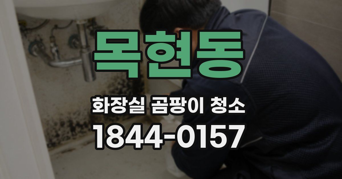 목현동 화장실 곰팡이 청소