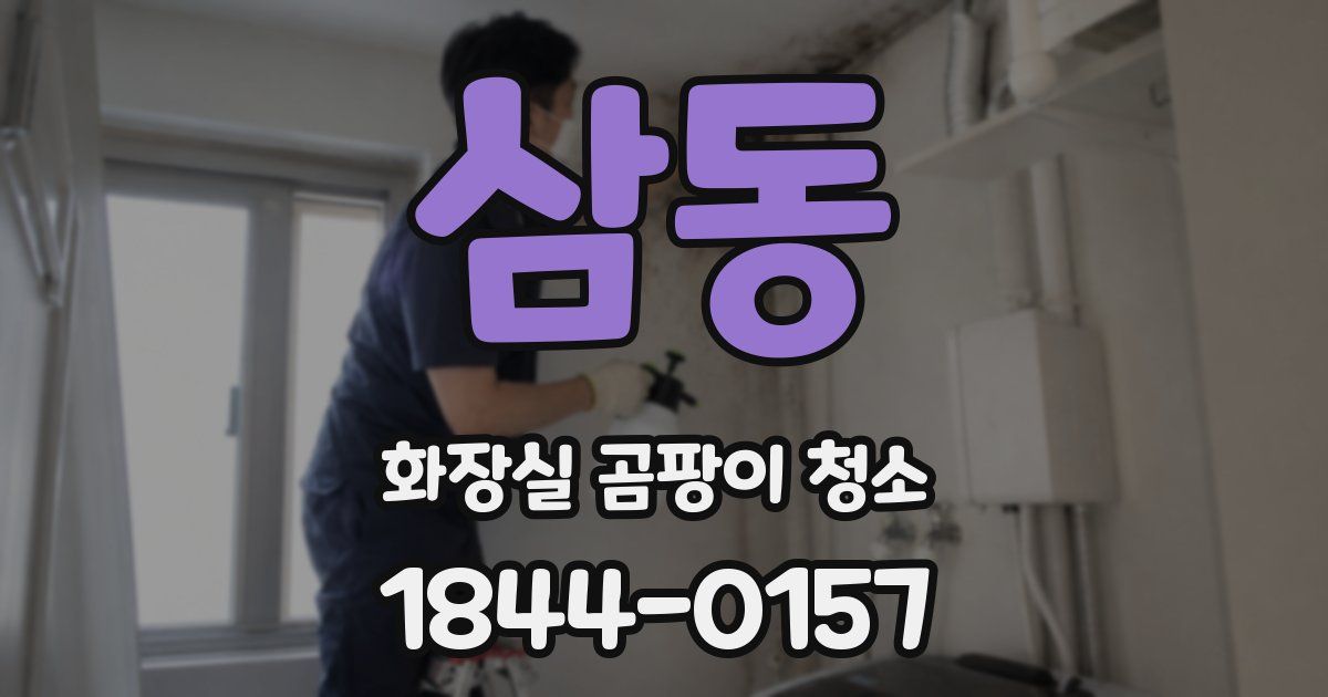 삼동 화장실 곰팡이 청소