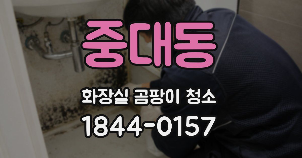 중대동 화장실 곰팡이 청소