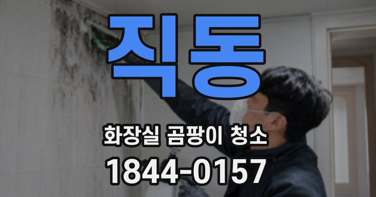 직동 화장실 곰팡이 청소