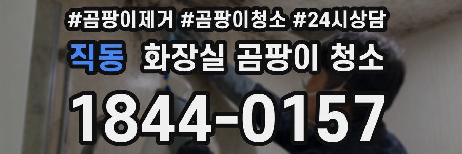 직동 화장실 곰팡이 청소
