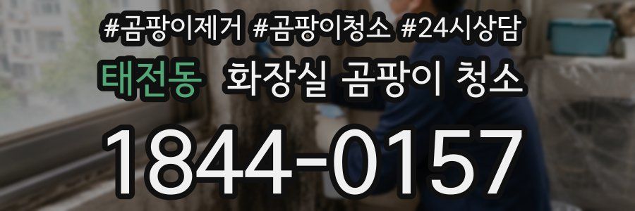 태전동 화장실 곰팡이 청소