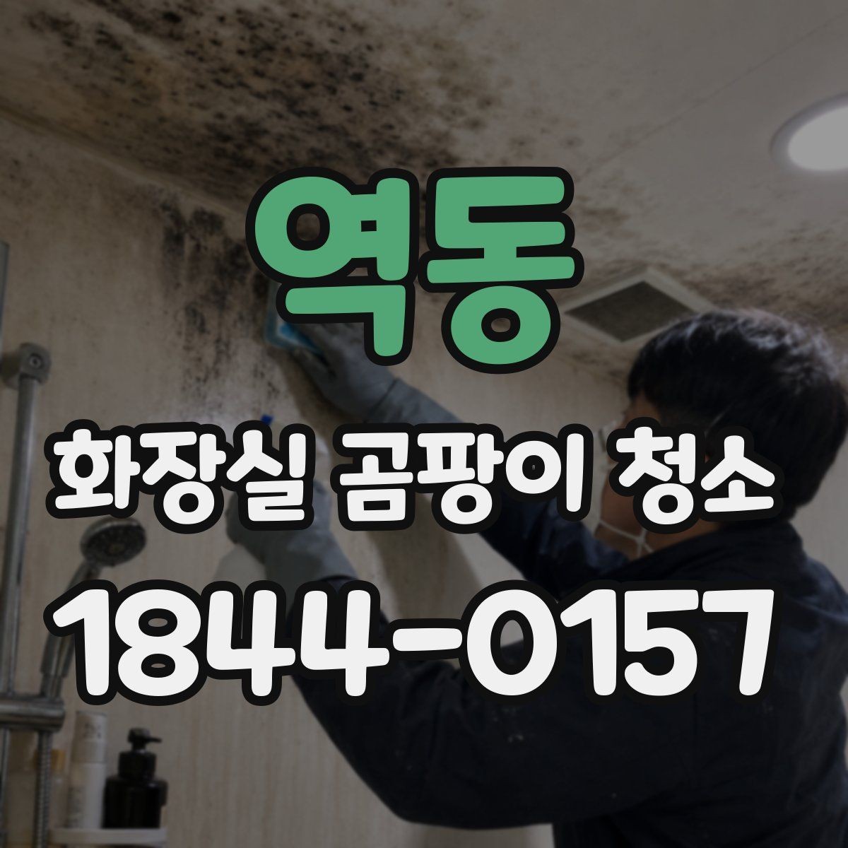 역동 화장실 곰팡이 청소 거품 제형이 잘 스며드는 표면 특징