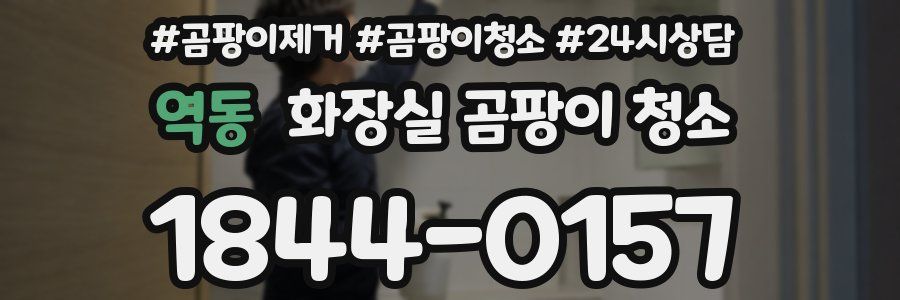 역동 화장실 곰팡이 청소