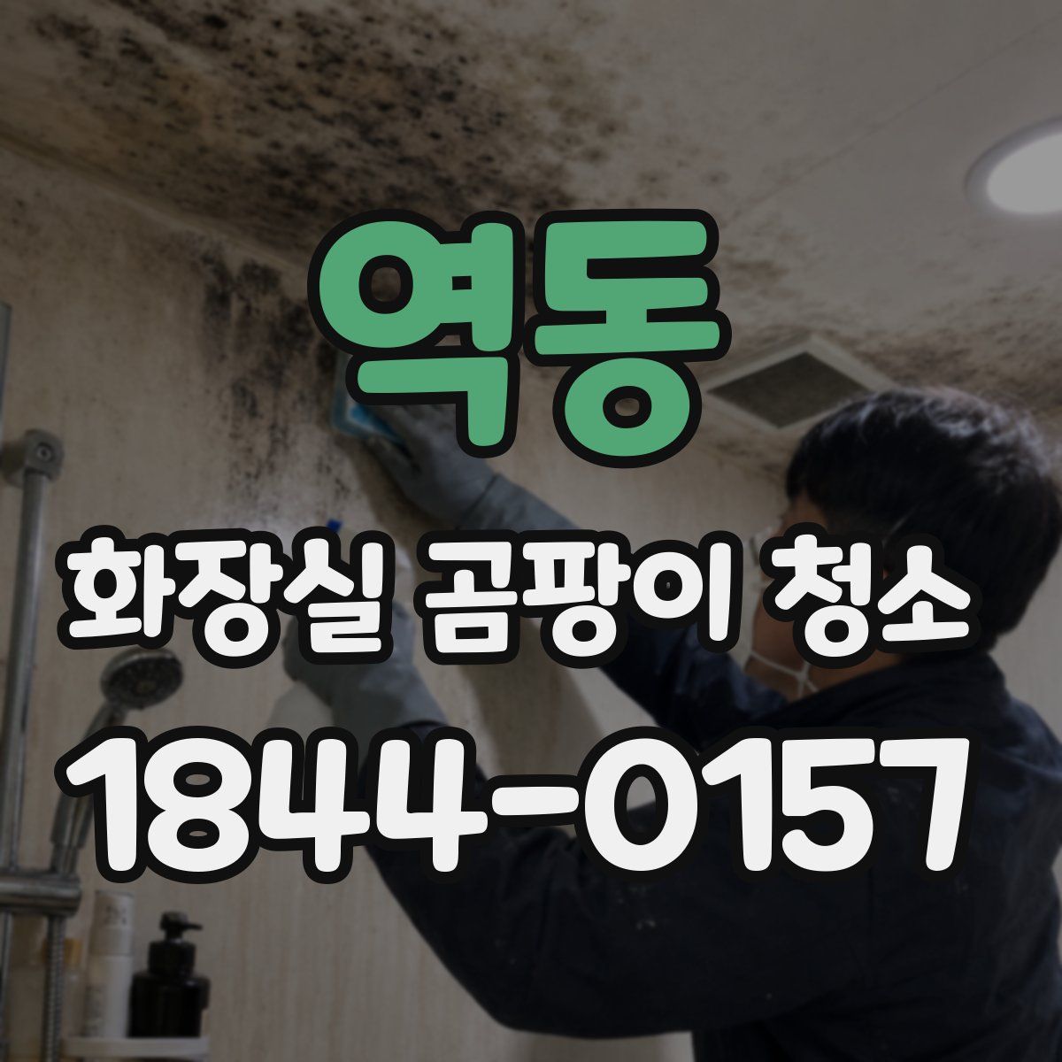 역동 화장실 곰팡이 청소