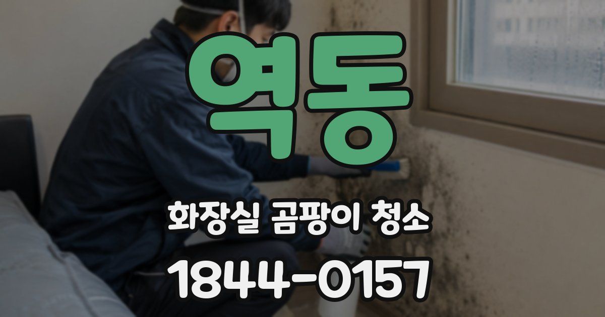 역동 화장실 곰팡이 청소