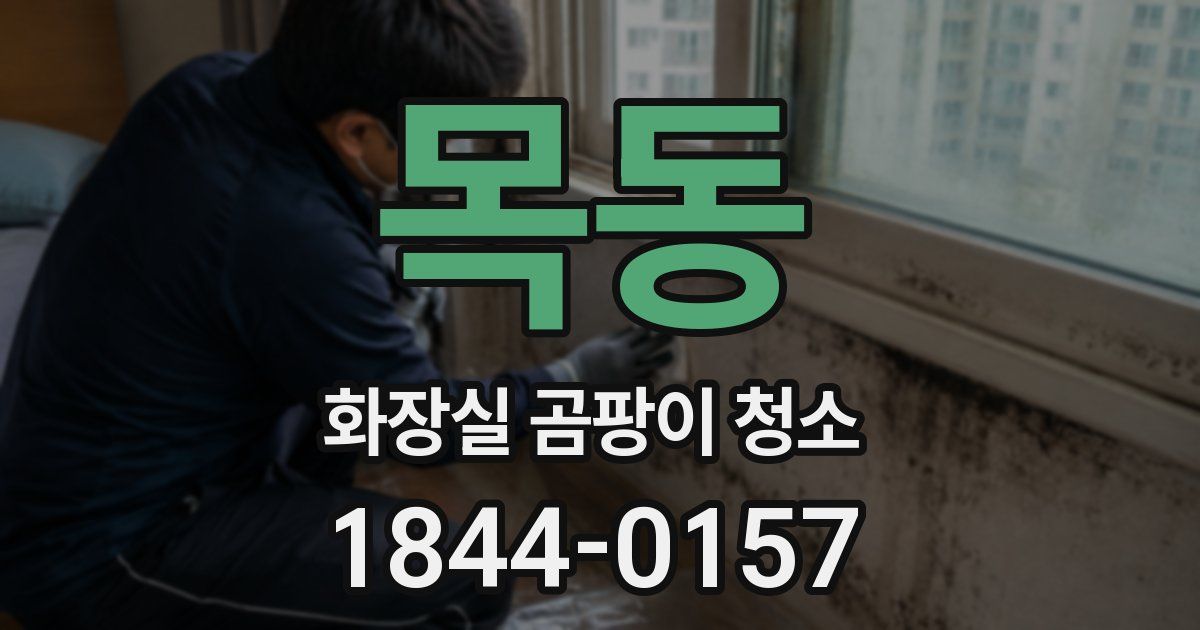 목동 화장실 곰팡이 청소