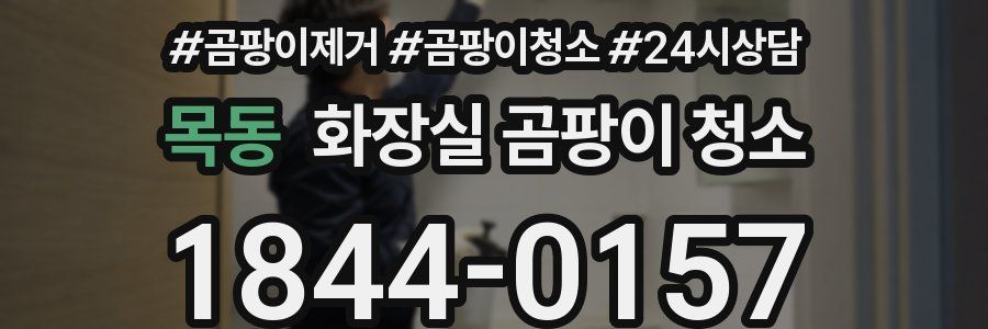 목동 화장실 곰팡이 청소