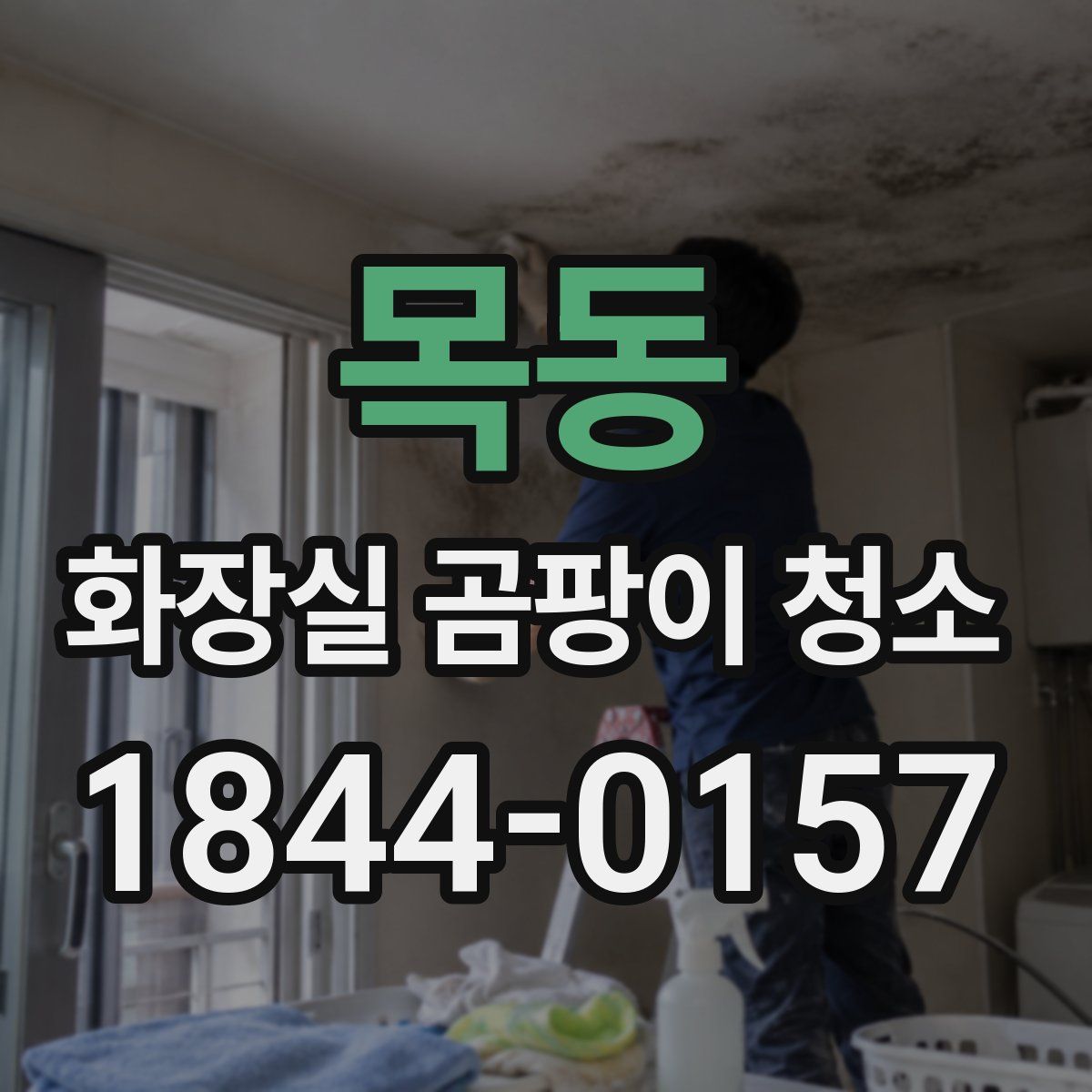 목동 화장실 곰팡이 청소