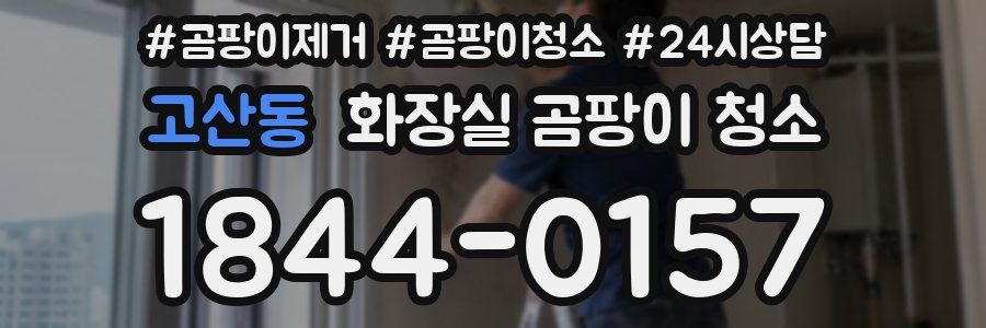 고산동 화장실 곰팡이 청소