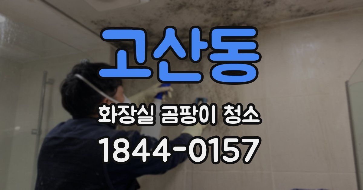 고산동 화장실 곰팡이 청소