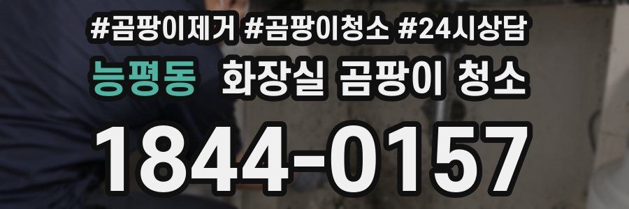 능평동 화장실 곰팡이 청소
