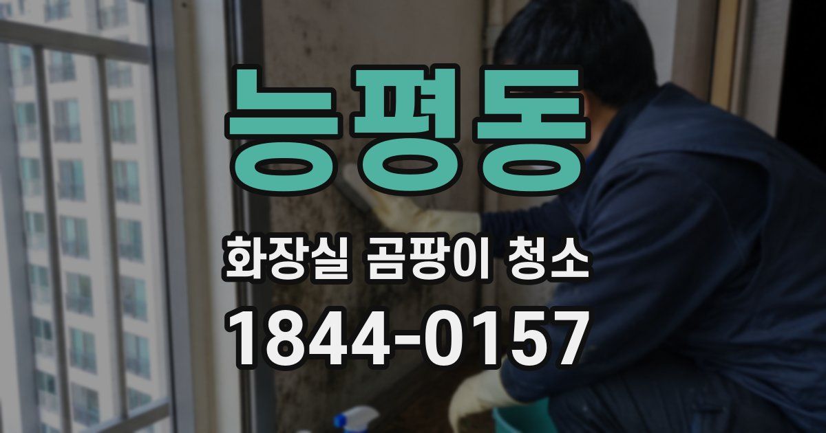 능평동 화장실 곰팡이 청소