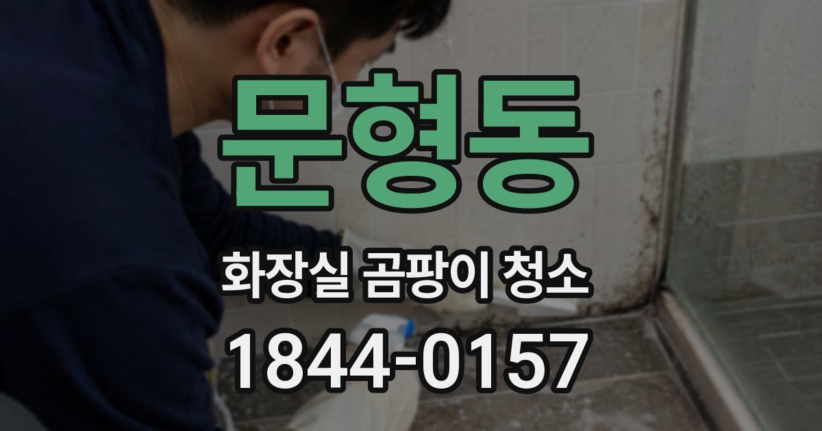 문형동 화장실 곰팡이 청소