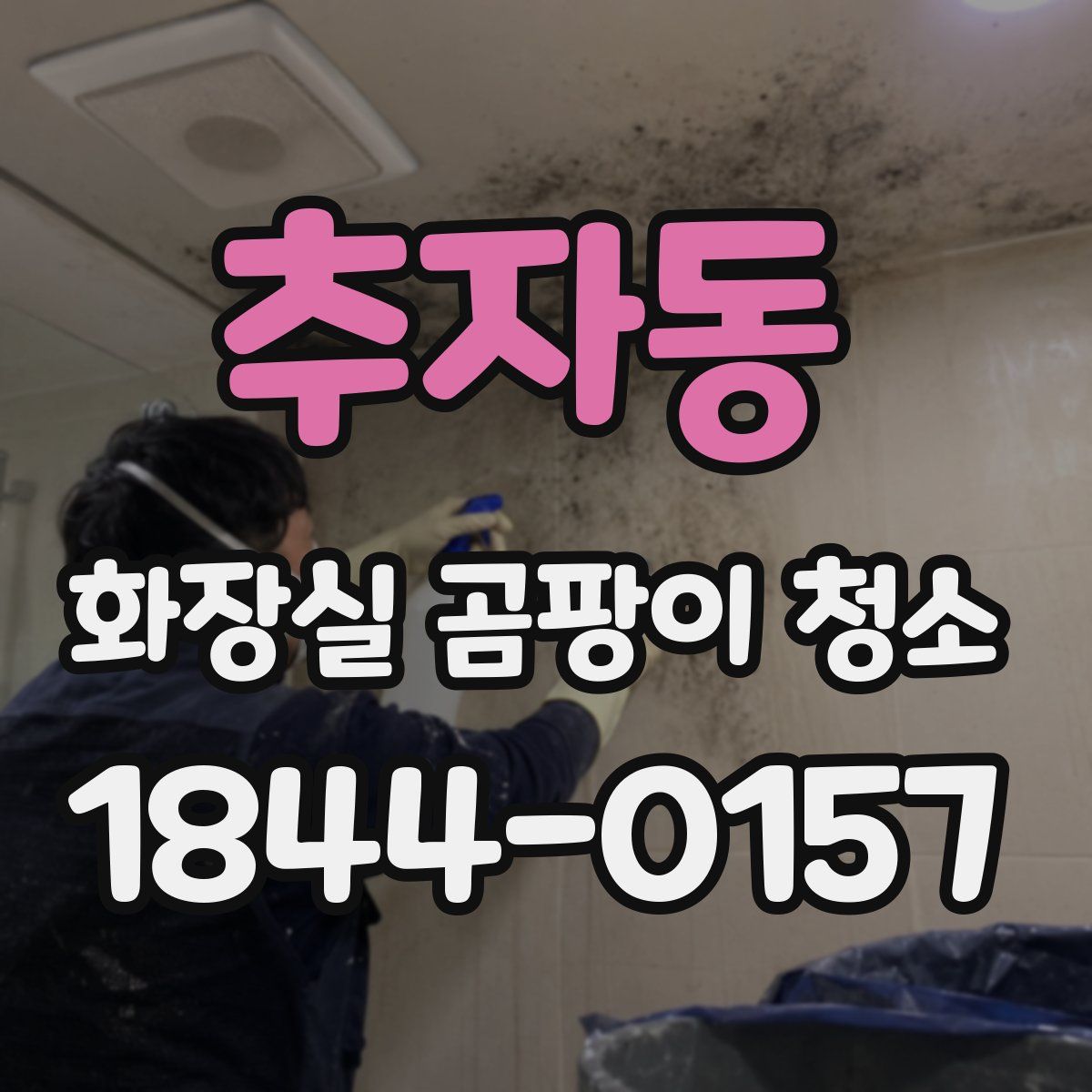 추자동 화장실 곰팡이 청소