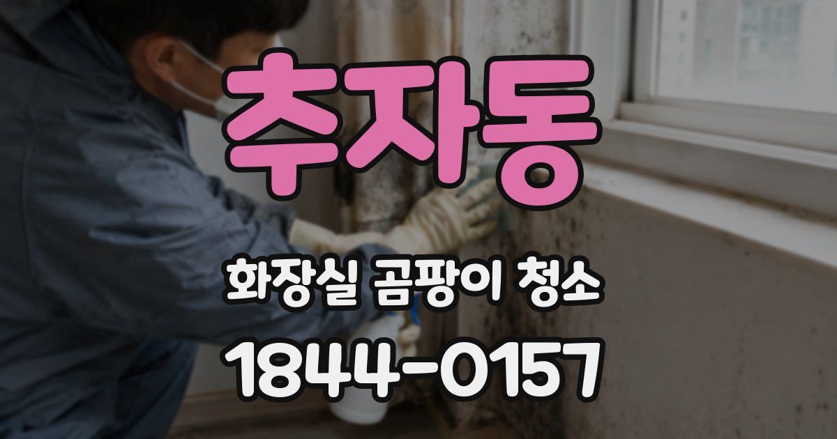 추자동 화장실 곰팡이 청소