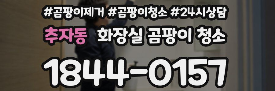 추자동 화장실 곰팡이 청소