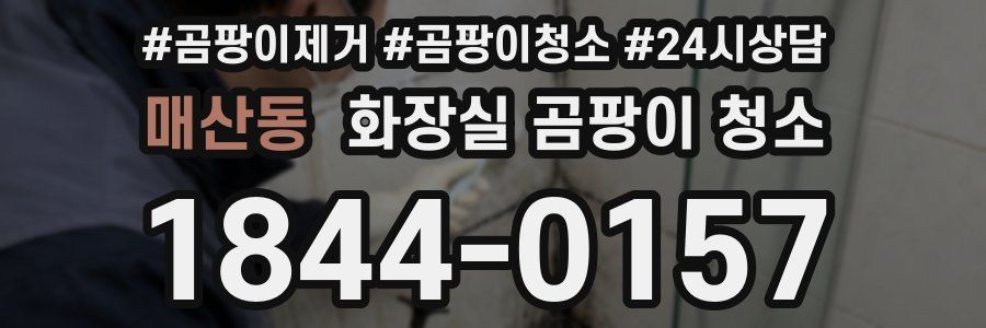매산동 화장실 곰팡이 청소