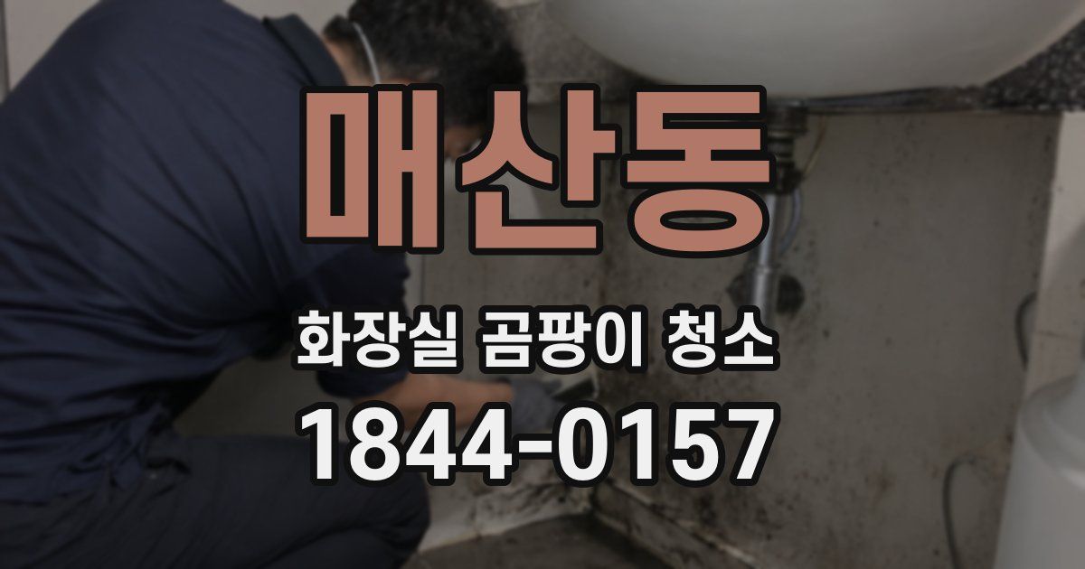 매산동 화장실 곰팡이 청소
