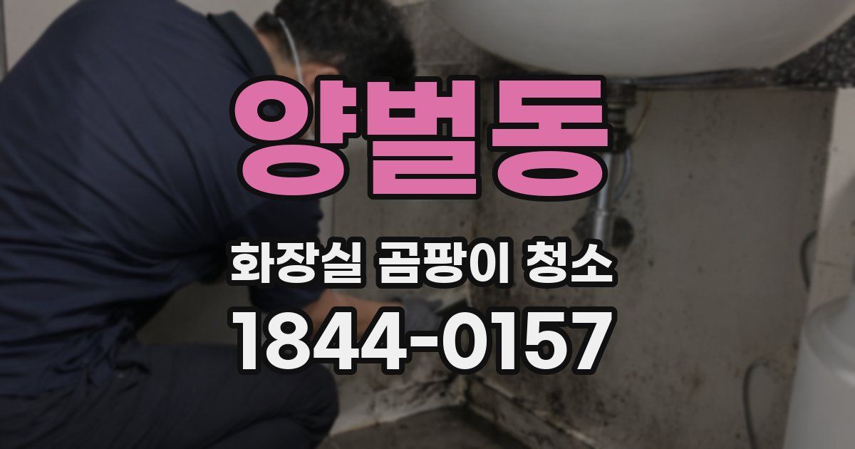 양벌동 화장실 곰팡이 청소