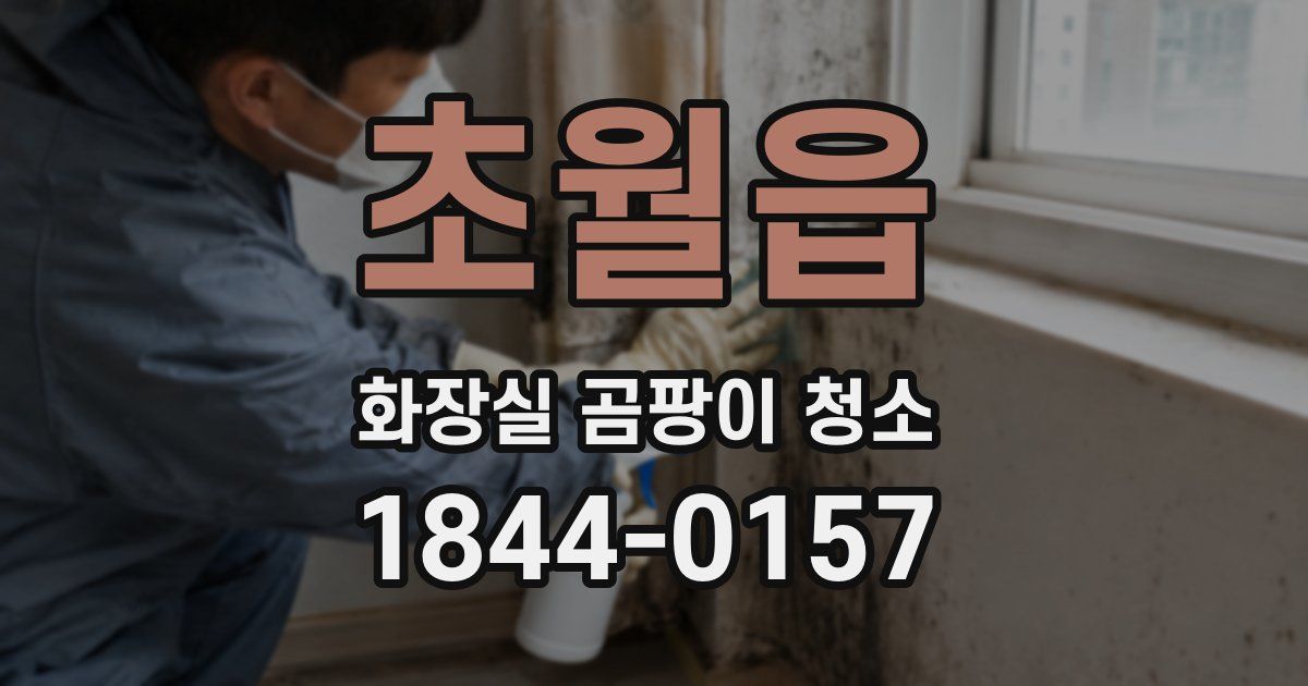 초월읍 화장실 곰팡이 청소