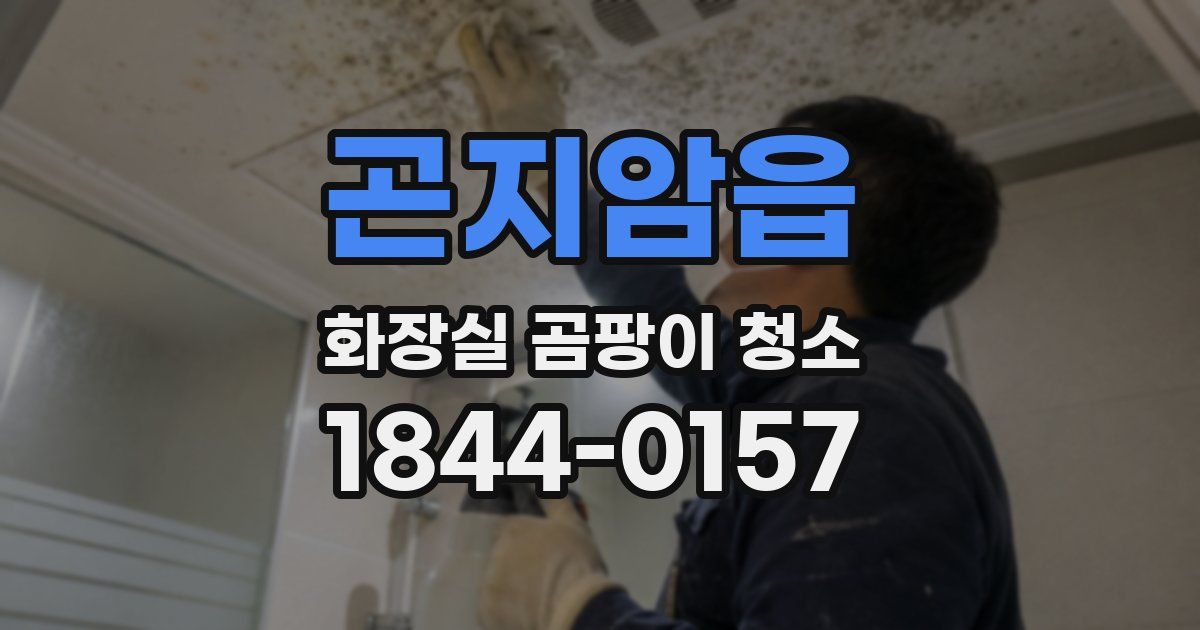 곤지암읍 화장실 곰팡이 청소