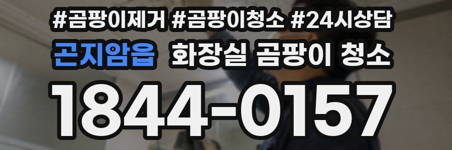곤지암읍 화장실 곰팡이 청소