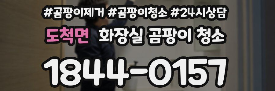 도척면 화장실 곰팡이 청소