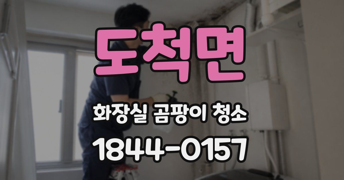 도척면 화장실 곰팡이 청소