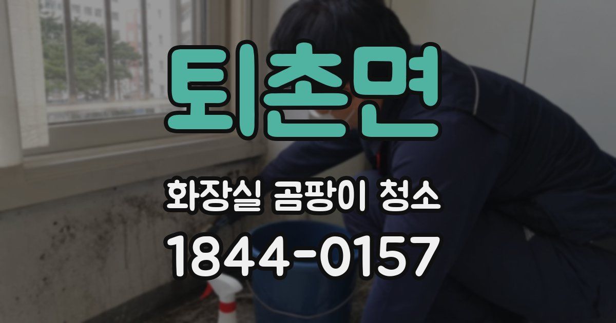 퇴촌면 화장실 곰팡이 청소