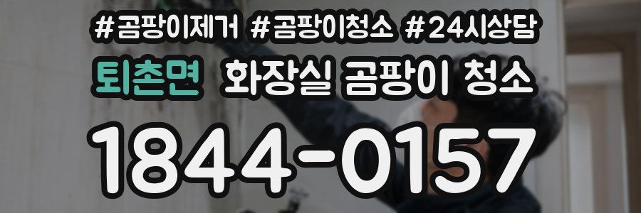 퇴촌면 화장실 곰팡이 청소