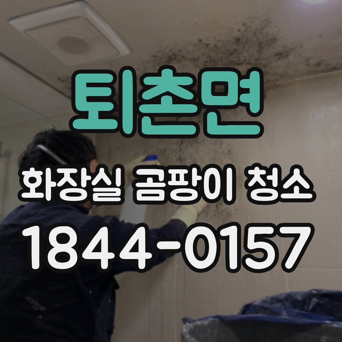 퇴촌면 화장실 곰팡이 청소