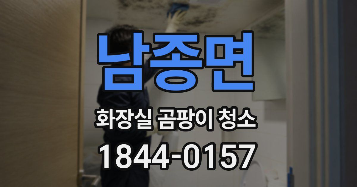 남종면 화장실 곰팡이 청소